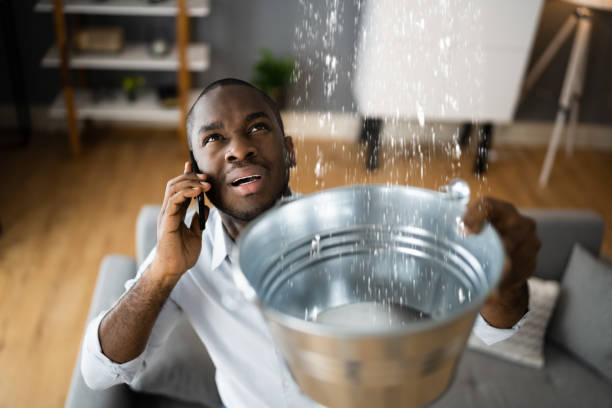 Best Commercial water damage restoration  in Durant, IA