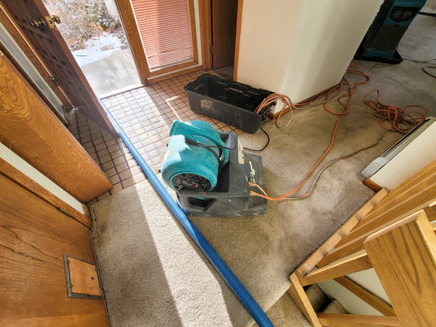 Best 24/7 water damage repair  in Durant, IA