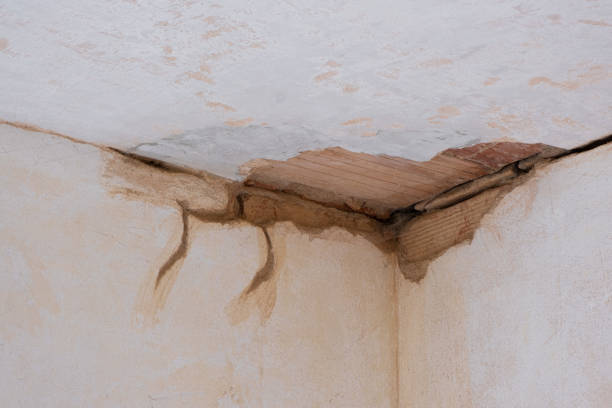 Best Commercial water damage restoration  in Durant, IA