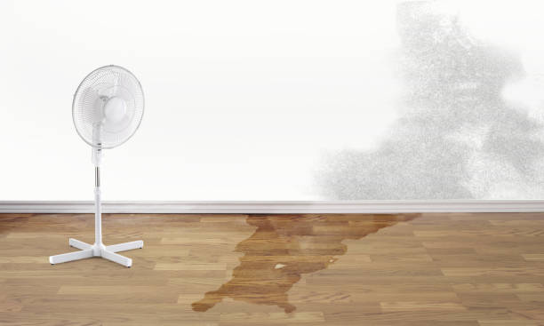 Best Sewage cleanup and water damage restoration  in Durant, IA