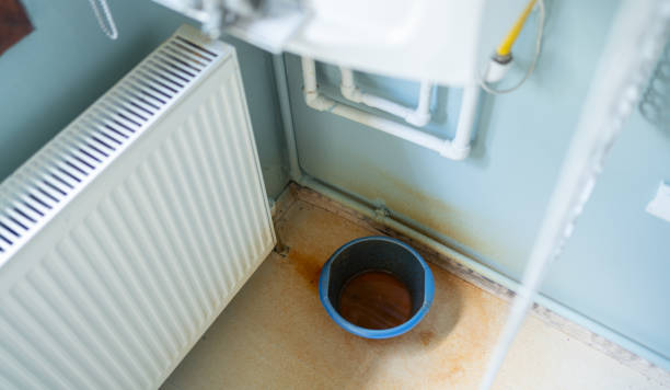 Best Water damage restoration near me  in Durant, IA