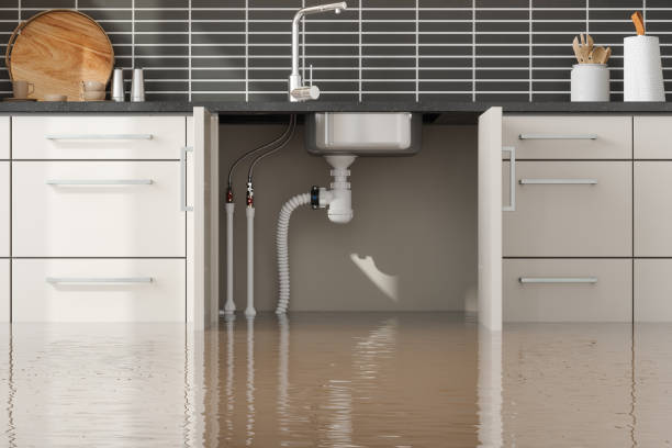 Best Flooded house restoration  in Durant, IA