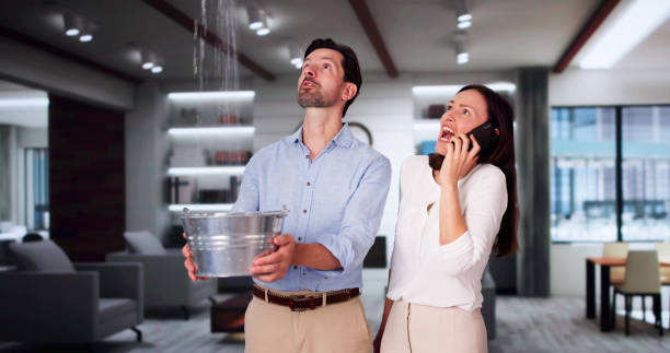 Best Water damage contractors near me  in Durant, IA